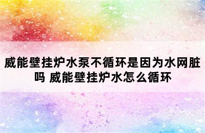 威能壁挂炉水泵不循环是因为水网脏吗 威能壁挂炉水怎么循环